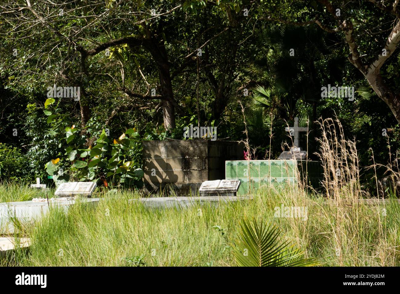 Un cimetière à Hopkins, Belize Banque D'Images