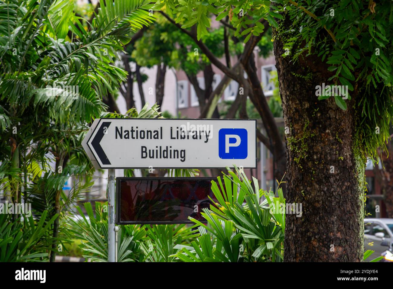 Un grand panneau pointant vers le bâtiment de la Bibliothèque nationale et l'aire de stationnement à Singapour est entouré d'arbres de rue et de verdure typique de Singapour Banque D'Images