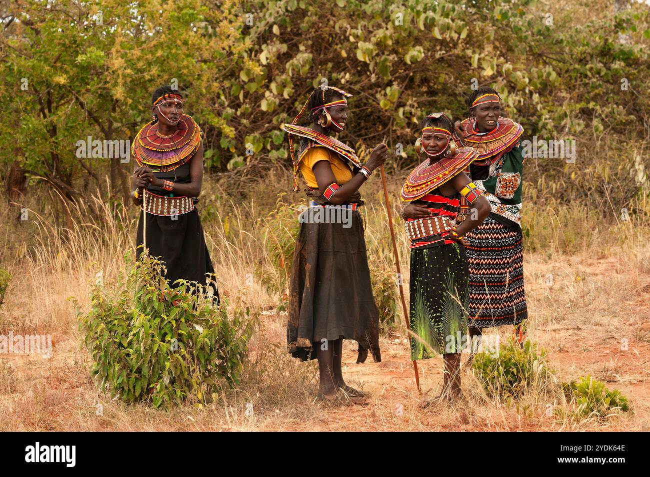 Femmes de la tribu Pokot avec des ornements caractéristiques composés de colliers faits de perles colorées. Nord du Kenya, Afrique Banque D'Images
