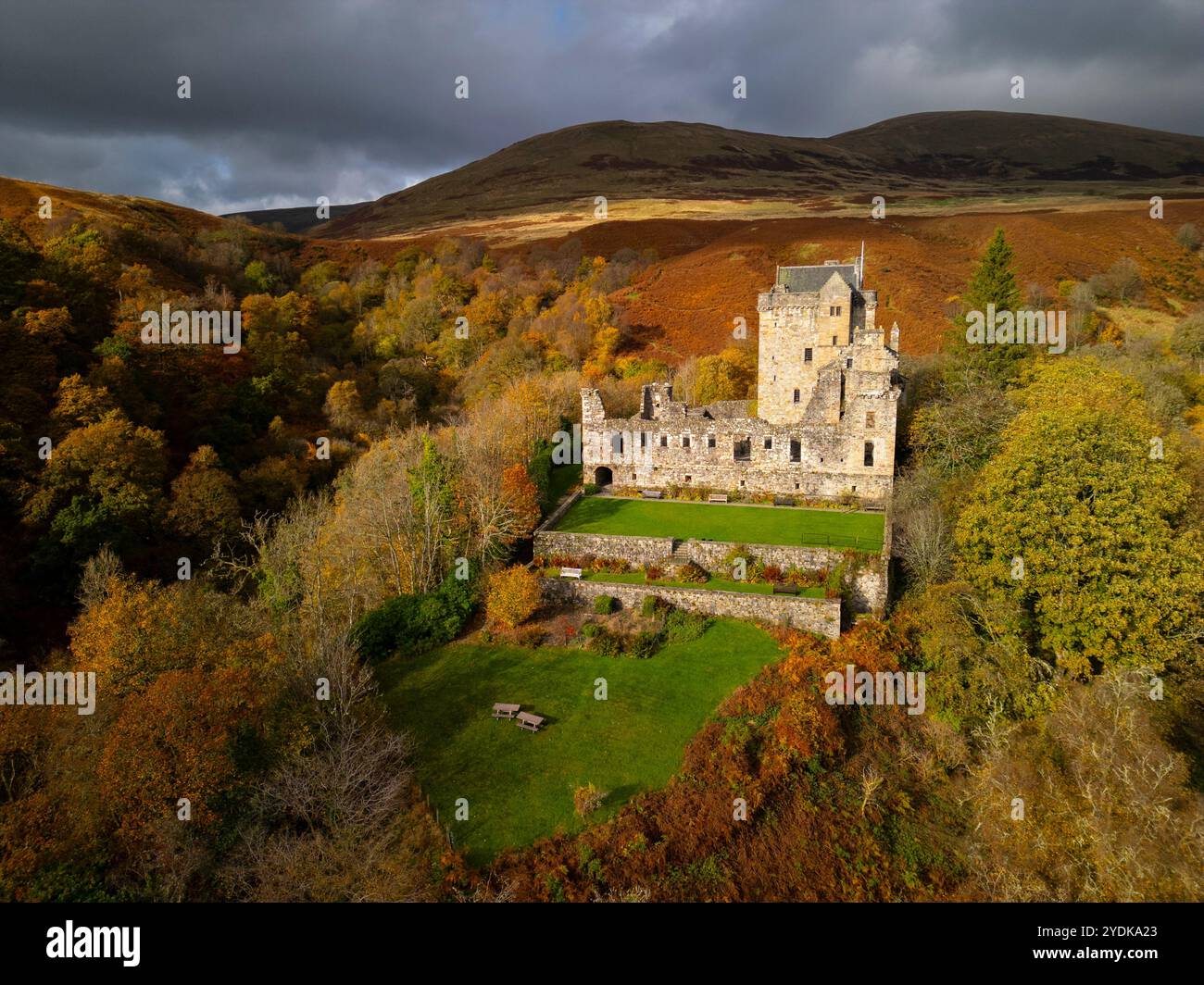 Dollar, Écosse, Royaume-Uni. 26 octobre 2024. Vue aérienne du château Campbell entouré de couleurs de fin d'automne dans les bois à Dollar Glen au-dessus de Dollar dans les collines d'Ochil, Clackmannanshire . Le château était le siège de plaine du duc d'Argyll, où Marie, reine d'Écosse a séjourné au XVIe siècle. Iain Masterton/ Alamy Live News Banque D'Images