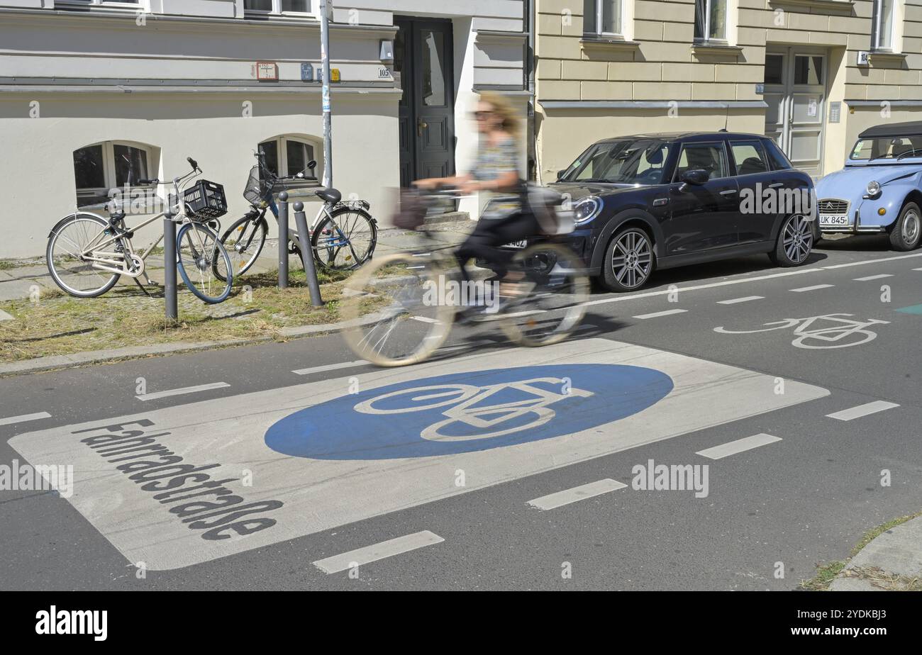 Route cyclable Linienstrasse, Mitte, Berlin, Allemagne, Europe Banque D'Images