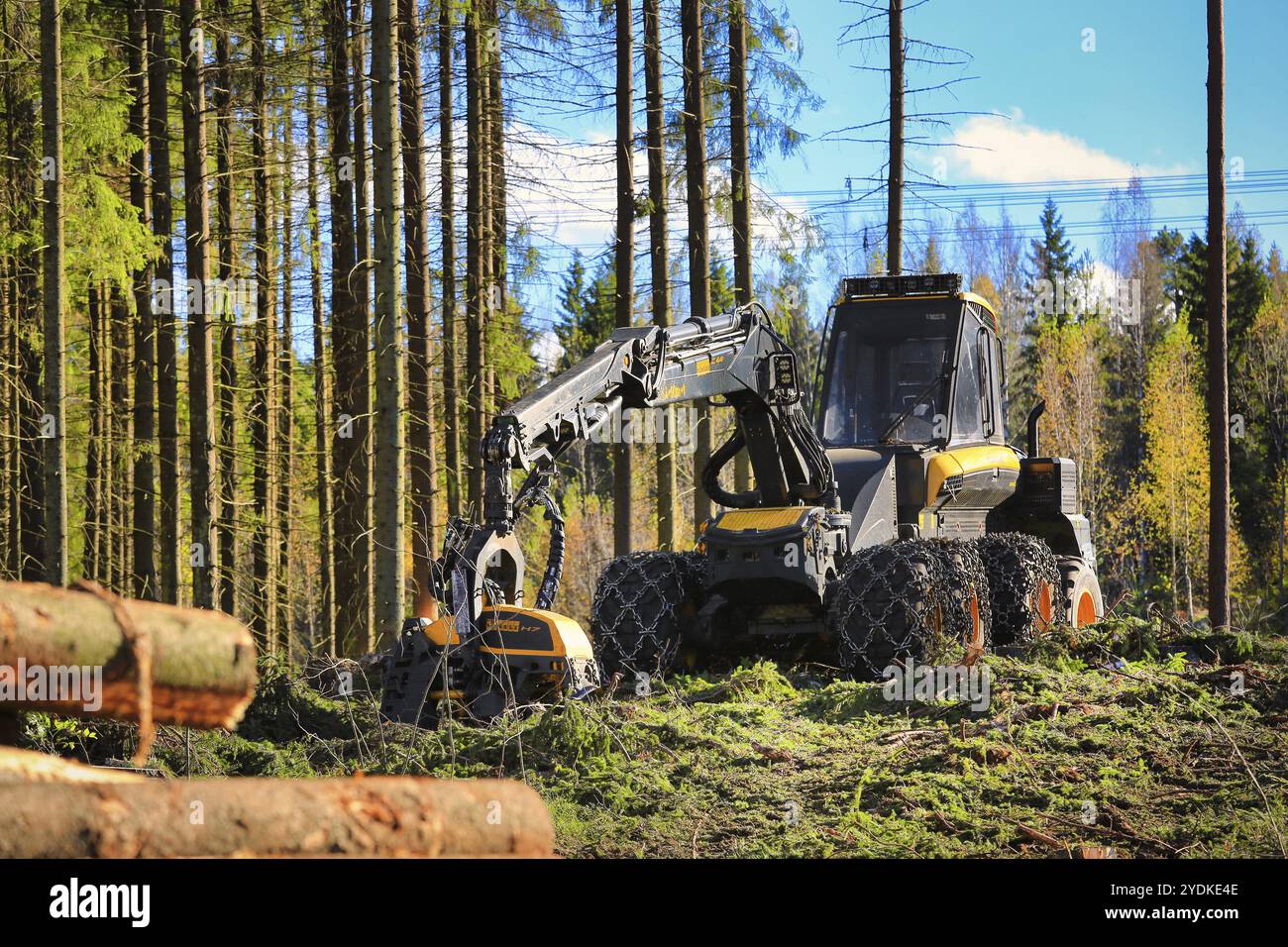 Ponsse Ergo abatteuse forestière sur un site d'exploitation forestière dans une forêt de conifères automnale. Vihti, Finlande. 1er octobre 2016 Banque D'Images