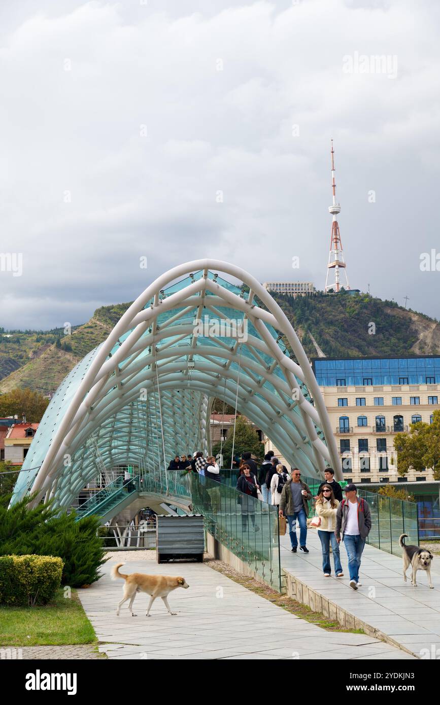 Pont de la paix, construction d'acier et de verre Pont piétonnier sur la rivière Kura Mtkvari dans le centre de Tbilissi, capitale de la Géorgie, le 21 octobre 2024 Banque D'Images