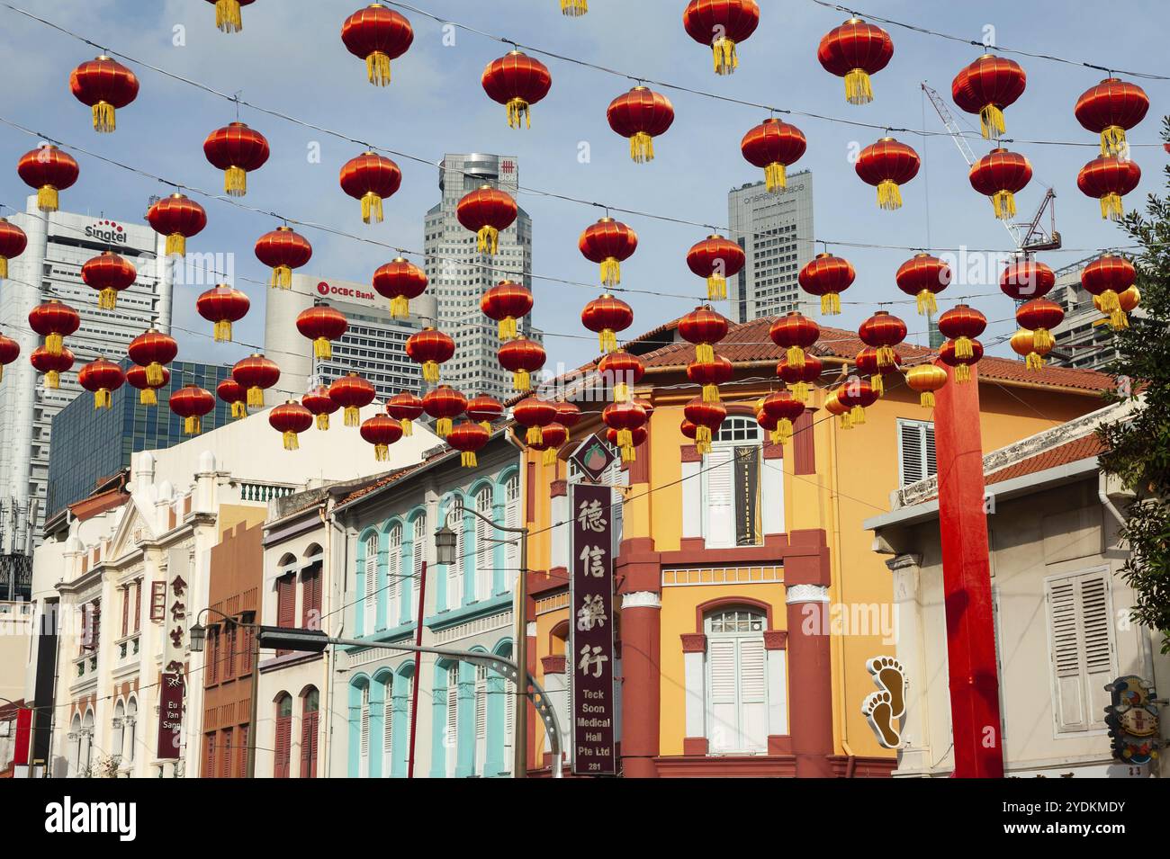 02.02.2019, Singapour, République de Singapour, Asie, décoration de rue annuelle avec des lanternes pour le nouvel an lunaire chinois le long de South Bridge Road en S. Banque D'Images