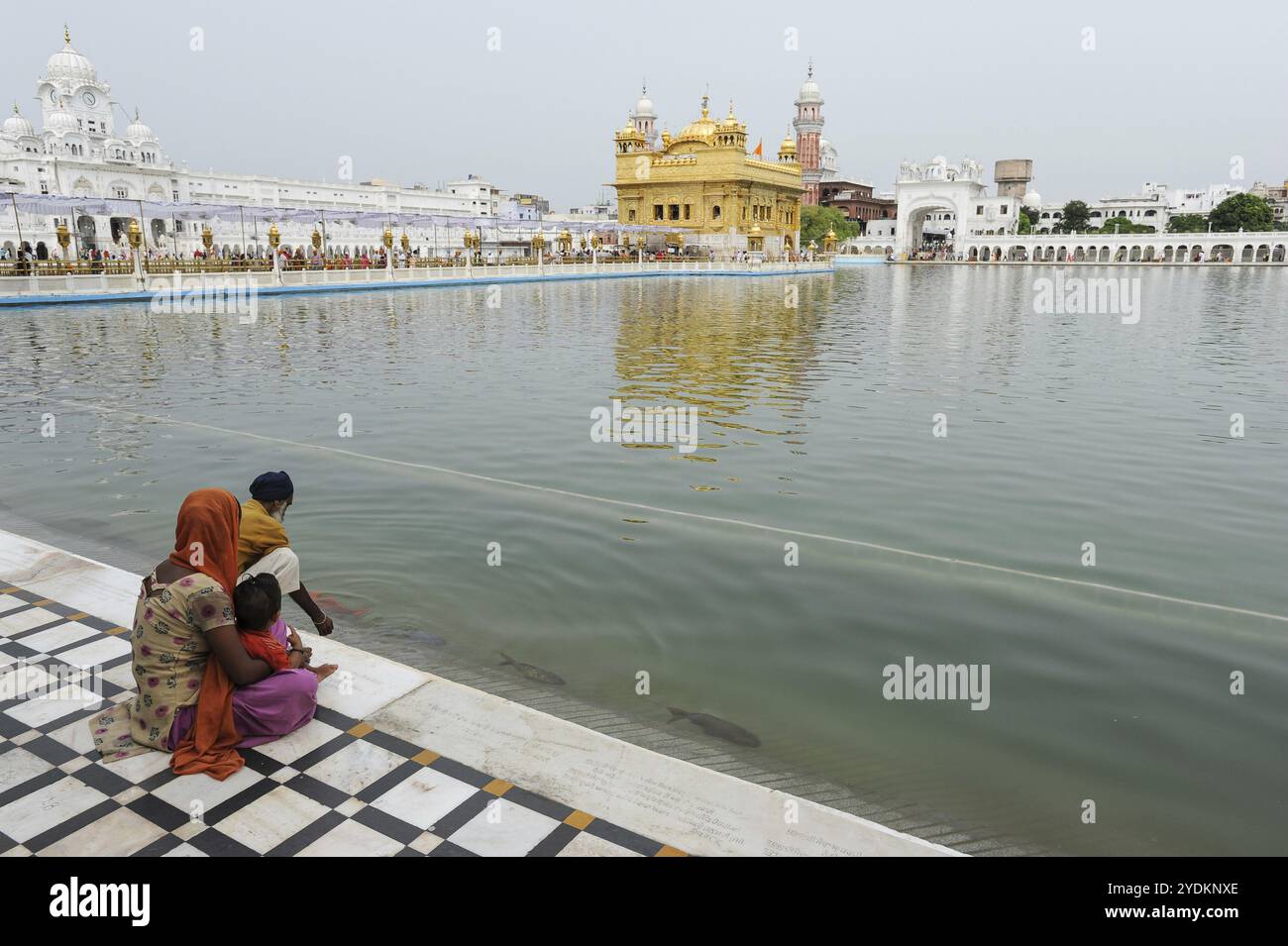 22.07.2011, Amritsar, Pendjab, Inde, fidèles sikhs du bassin d'eau sacrée (Amrit Sarover) du Temple d'Or, le plus haut sanctuaire des Sikhs Banque D'Images