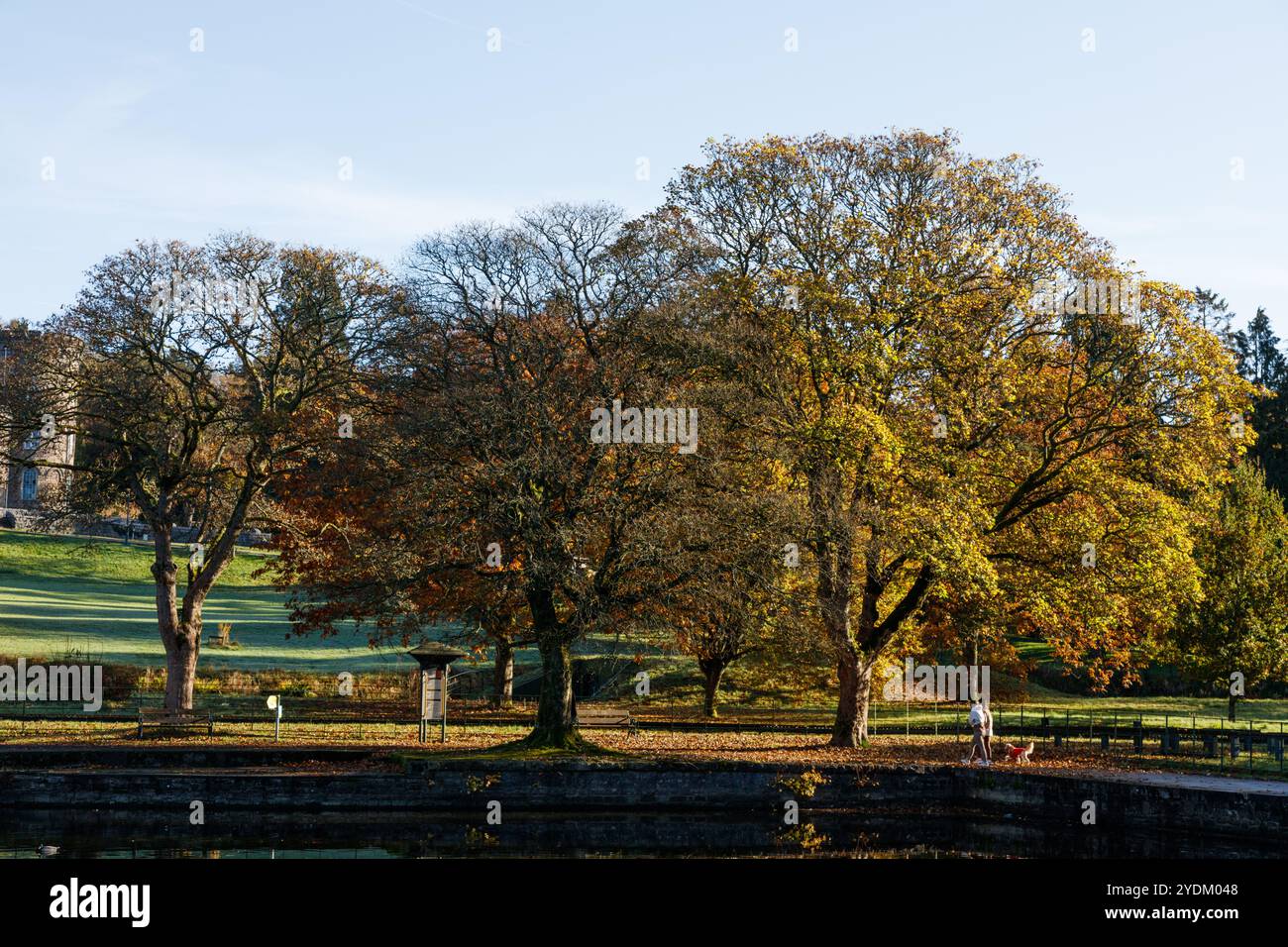 Cyfarthfa Park, Merthyr Tydfil, pays de Galles du Sud, Royaume-Uni. 27 octobre 2024. Météo Royaume-Uni : couleurs d'automne ensoleillées ce matin. Crédit : Andrew Bartlett/Alamy Live News Banque D'Images Cyfarthfa Park, Merthyr Tydfil, pays de Galles du Sud, Royaume-Uni. 27 octobre 2024. Météo Royaume-Uni : couleurs d'automne ensoleillées ce matin. Crédit : Andrew Bartlett/Alamy Live News Banque D'Images