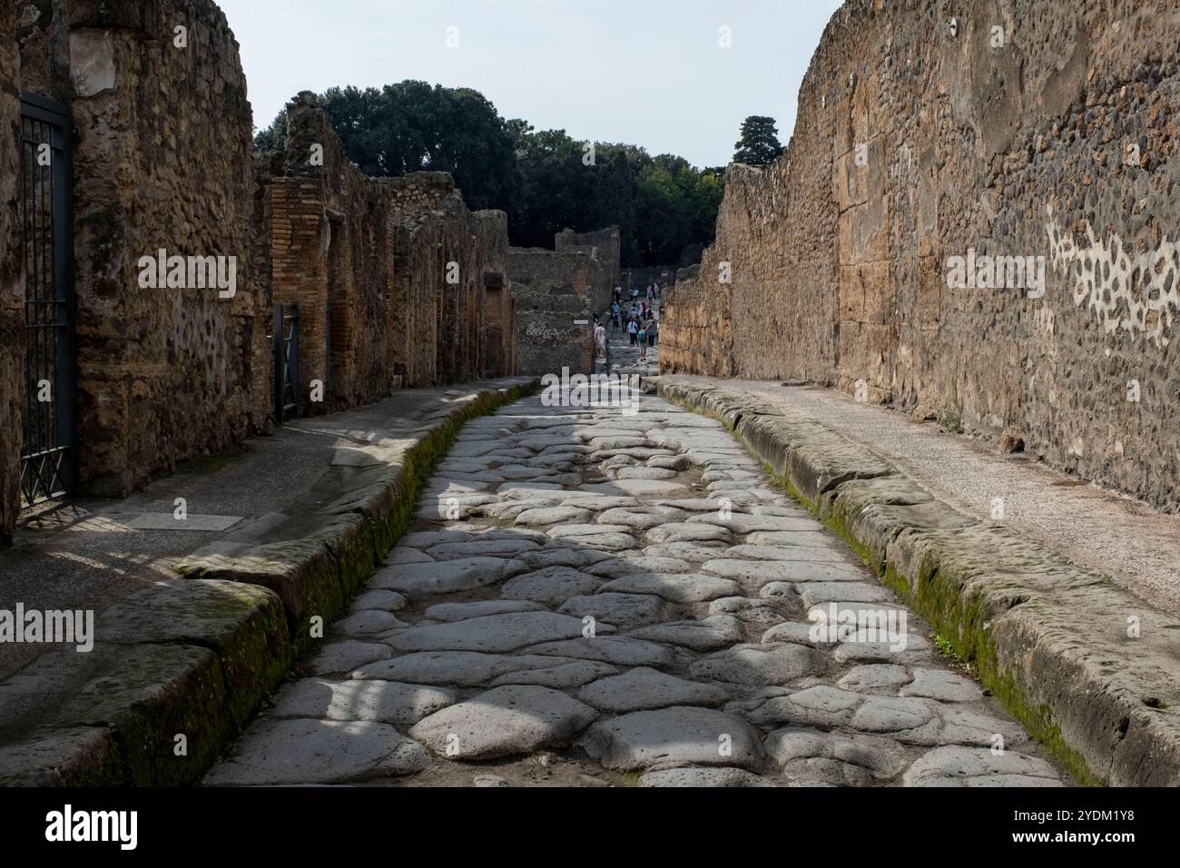 Rue pavée en pierre dans le parc archéologique de Pompéi, Naples, Italie. Banque D'Images