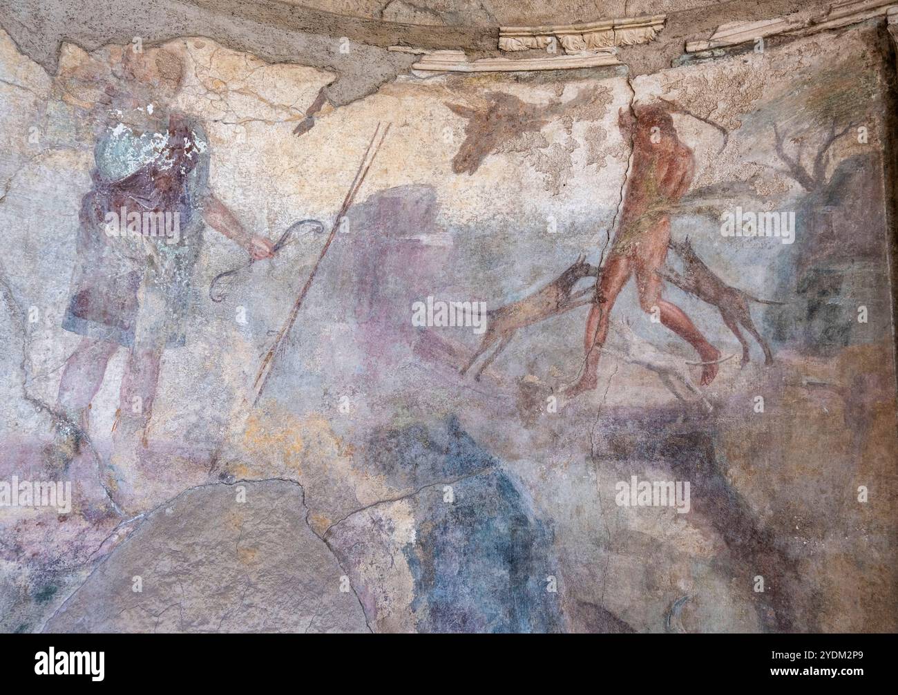 Fresque romaine montrant la mort du grec Actaeon, transformé en cerf par la déesse Artémis, et tué par ses propres chiens, Maison de Ménandre, Pompéi Banque D'Images