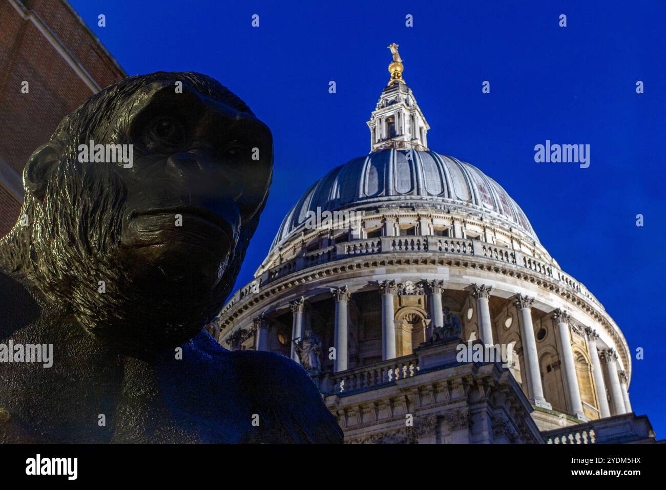 Crépuscule sur Paternoster Square dans la City de Londres avec une statue d'un gorille devant la cathédrale Saint-Paul Banque D'Images