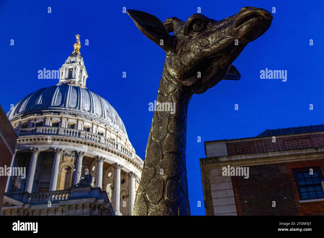 Crépuscule sur Paternoster Square dans la City de Londres avec une statue d'une girafe devant la cathédrale Saint-Paul Banque D'Images