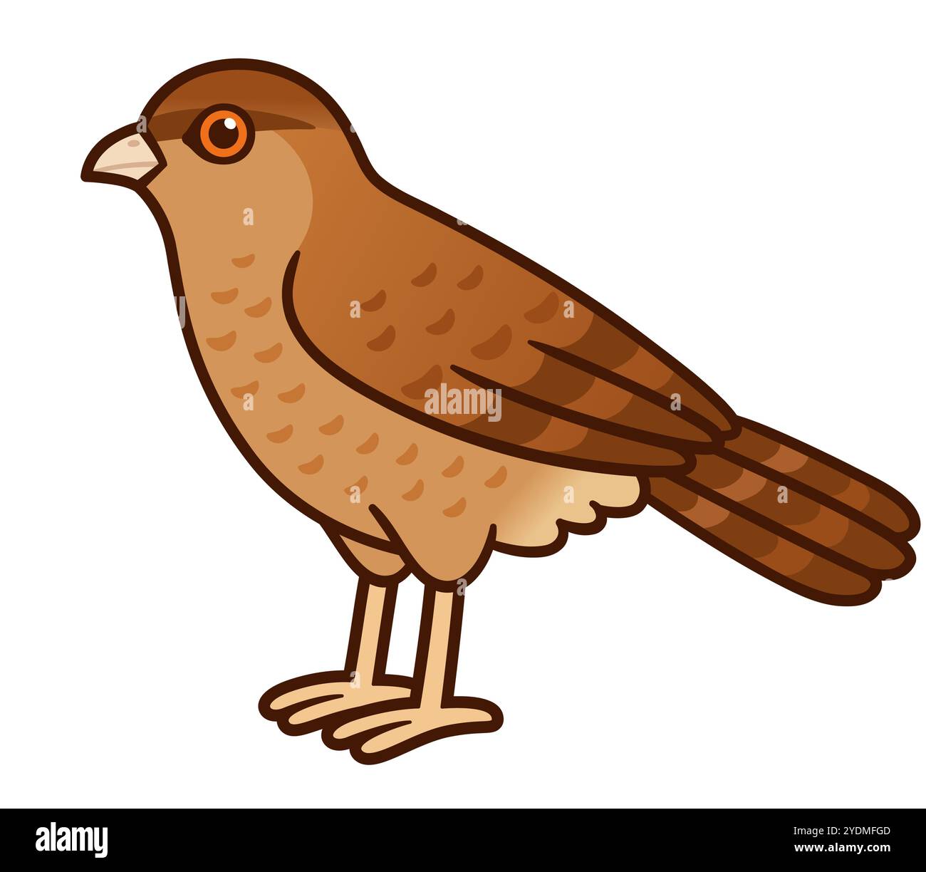 Dessin de dessin animé d'oiseau sauvage Tiuque (Chimango caracara) originaire d'Amérique du Sud. Illustration vectorielle de faune indigène mignonne. Illustration de Vecteur