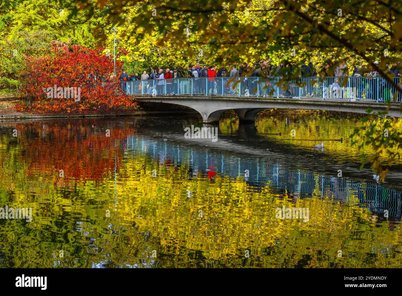 27 octobre 2024. St Jamers Park, Londres, touriste et familles appréciant le merveilleux temps chaud non saisonnier et le juste commencement d'apparaître aux couleurs de l'automne. Paul Quezada-Neiman/Alamy Live News Credit : Paul Quezada-Neiman/Alamy Live News Banque D'Images