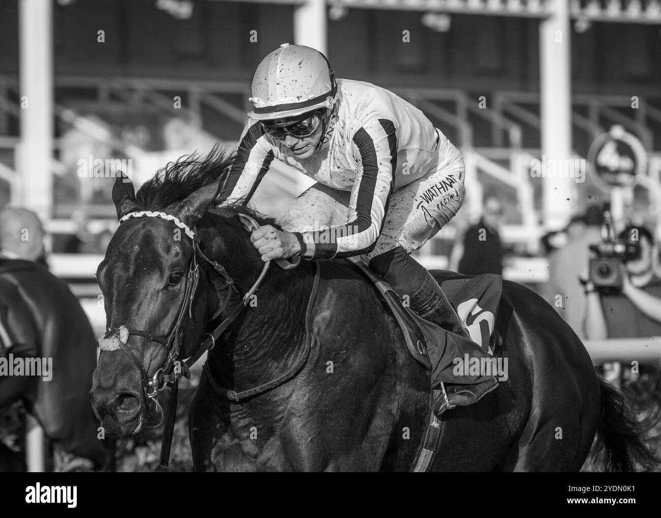 Pellitory remporte les CaseIH & Paxtons Supply Tractors à ARC Nursery à Doncaster pour James Owen et le jockey James Doyle le 25 octobre 24 Banque D'Images