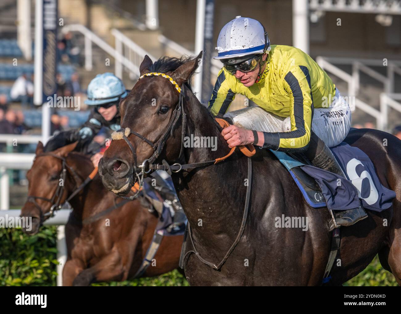 Pellitory remporte les CaseIH & Paxtons Supply Tractors à ARC Nursery à Doncaster pour James Owen et le jockey James Doyle le 25 octobre 24 Banque D'Images