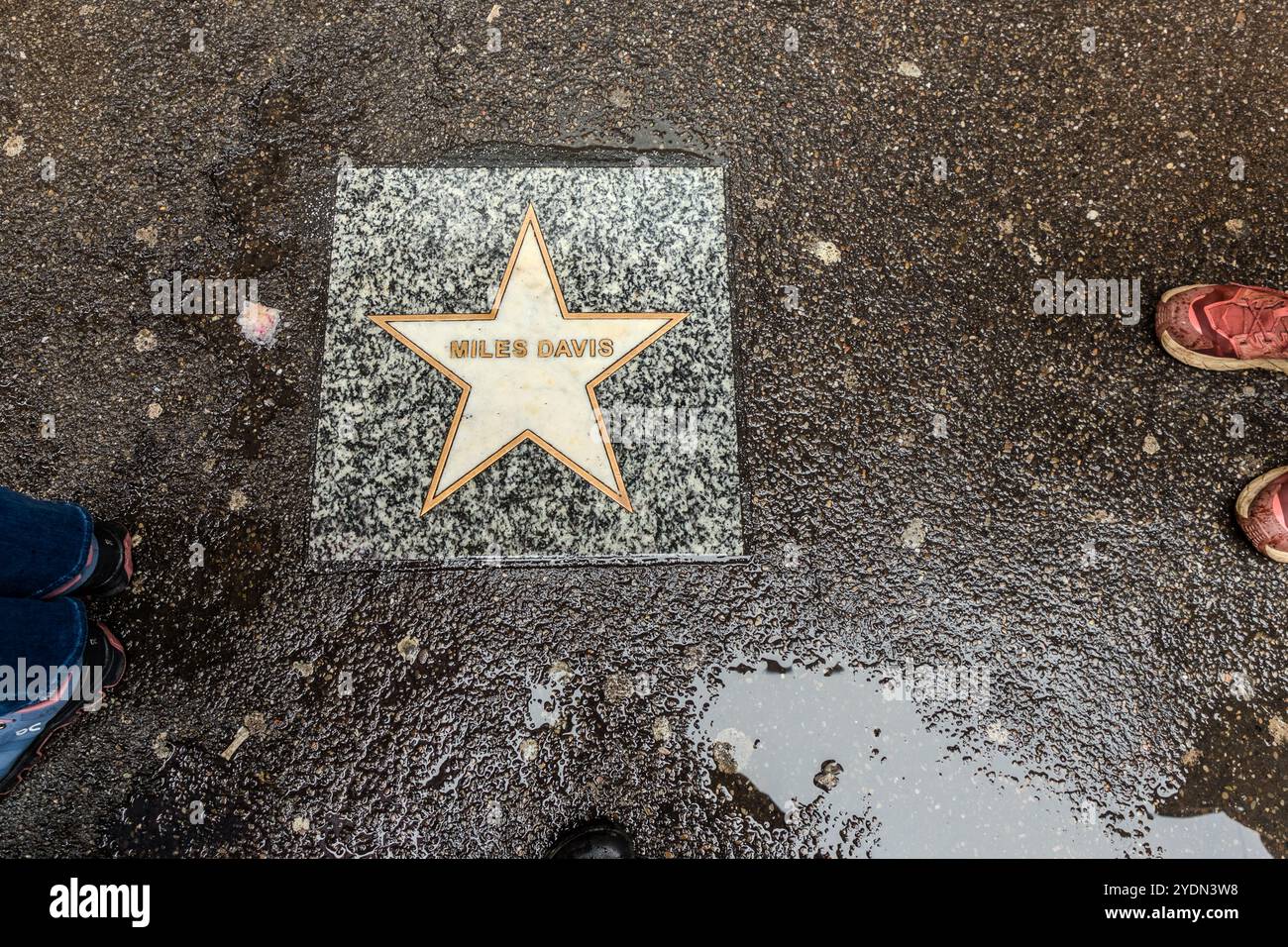 Le Bologna Jazz Festival laisse sa marque sur le Walk of Fame, où il y a des stars dans le trottoir pour de nombreux musiciens de jazz comme Miles Davis. Via Caprarie, Bologne, Emilie-Romagne, Italie Banque D'Images