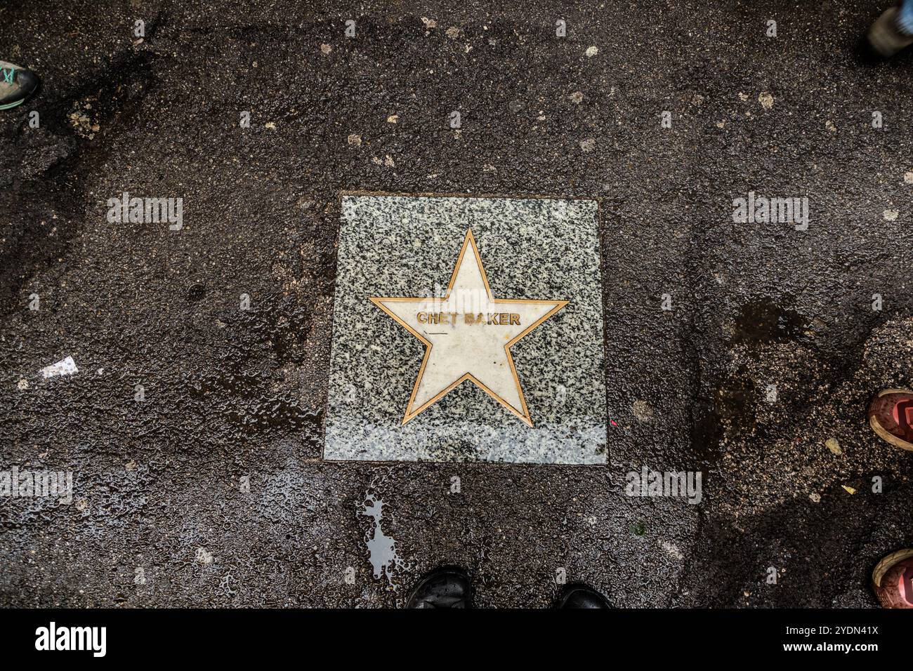 Le Festival de Jazz de Bologne laisse sa marque sur le Walk of Fame, où il y a des stars dans le trottoir pour de nombreux musiciens de jazz comme Chet Baker. Via Caprarie, Bologne, Emilie-Romagne, Italie Banque D'Images