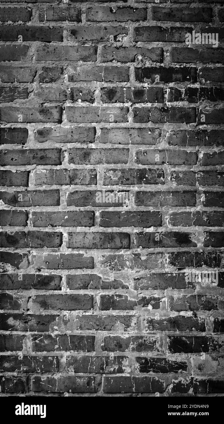 Panorama noir et blanc de vieux mur de briques. Texture de maçonnerie vieillie avec brique cassée et plâtre pelable. Urbain, grunge, industriel, abstrait Banque D'Images