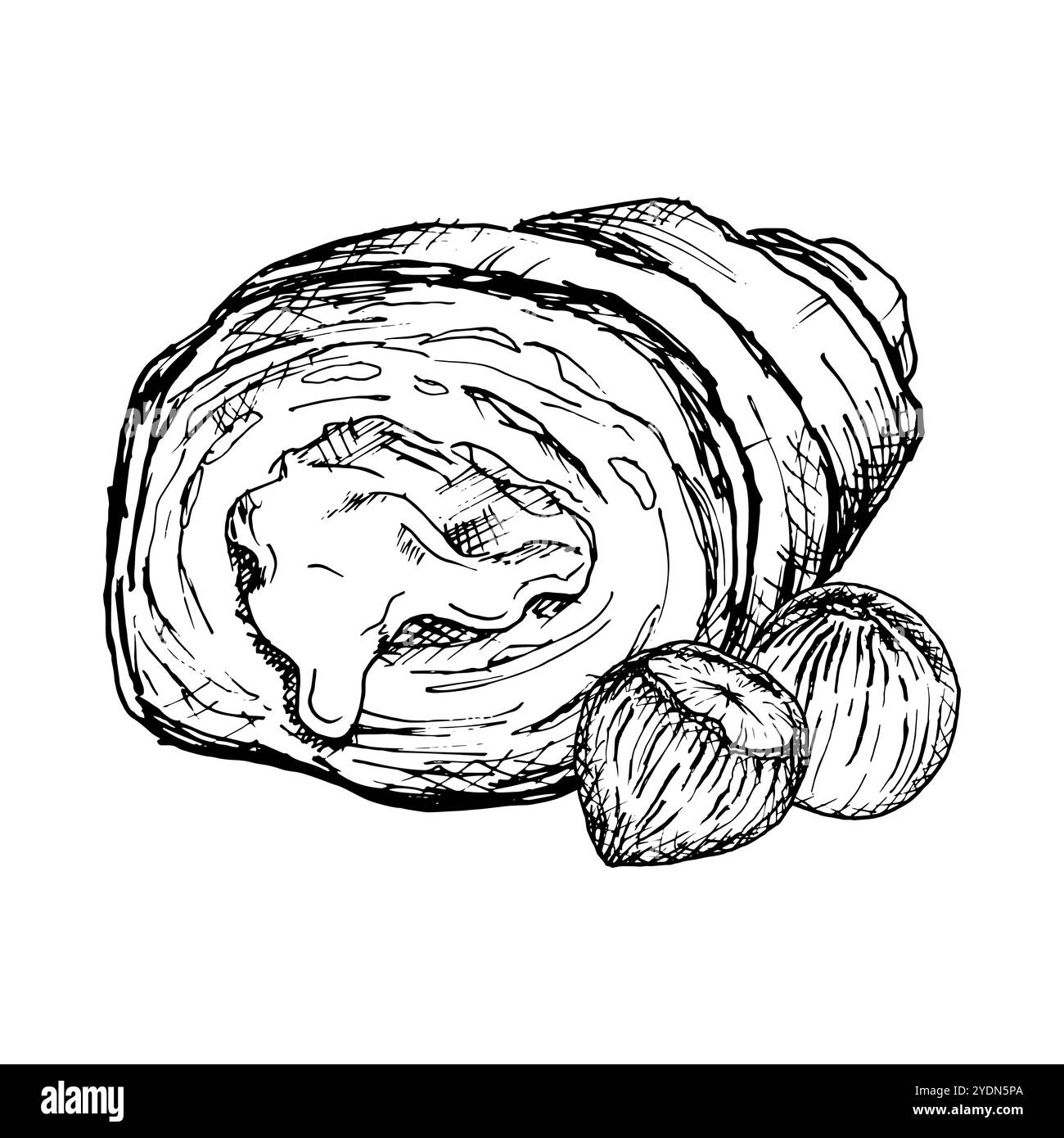 Une illustration vectorielle détaillée dessinée à la main de croissant avec des noisettes. Croquis noir et blanc mettant en valeur la texture feuilletée et le remplissage de noix. Idéal pour Illustration de Vecteur