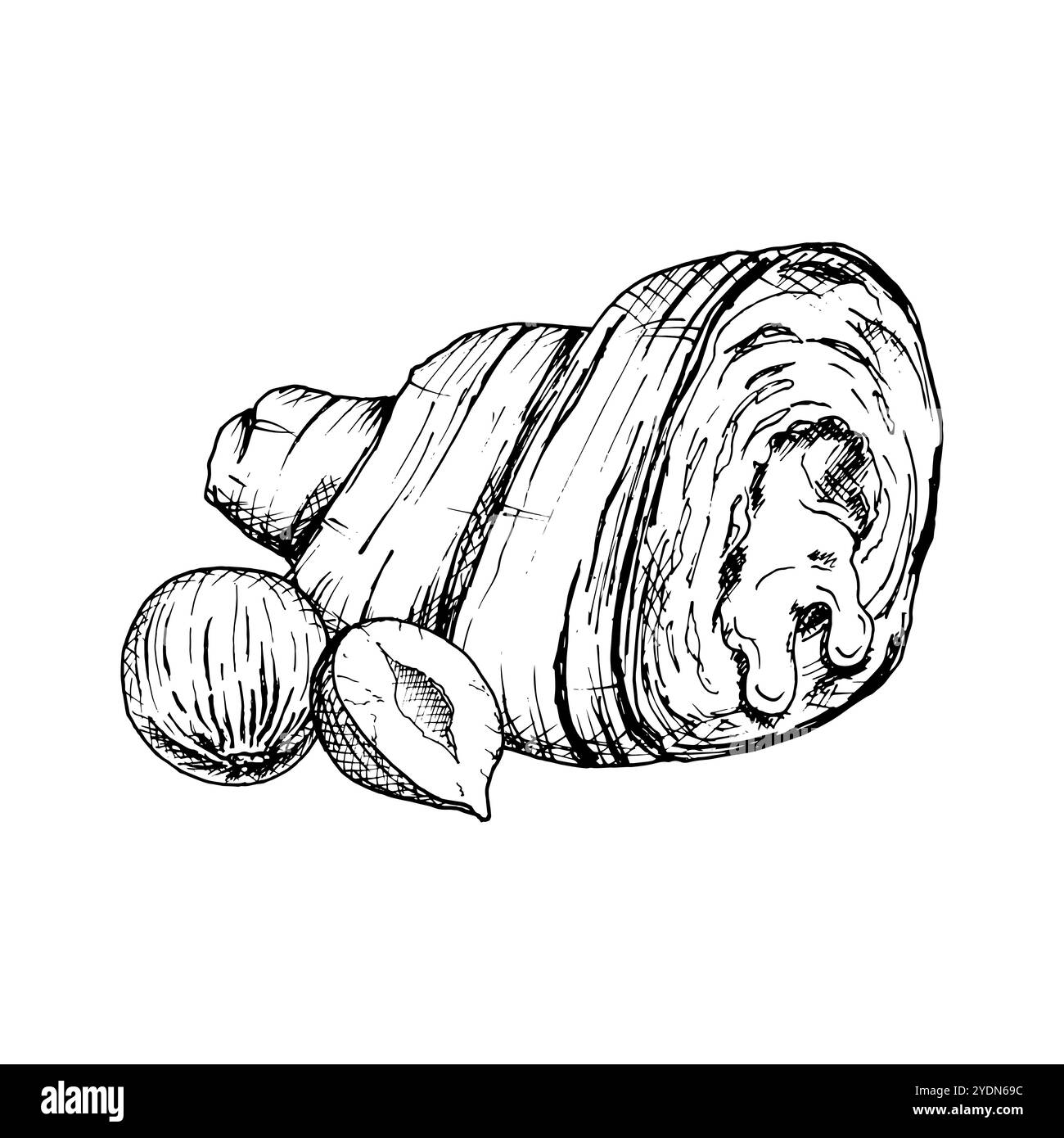 Une illustration vectorielle détaillée dessinée à la main de croissant avec des noisettes. Croquis noir et blanc mettant en valeur la texture feuilletée et le remplissage de noix. Idéal pour Illustration de Vecteur
