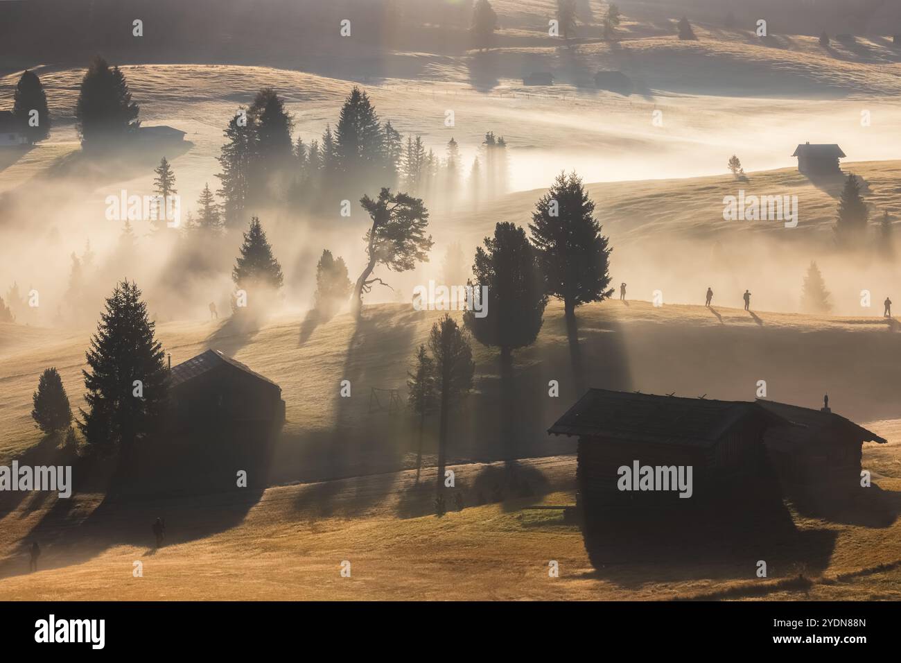 Prairie alpine idyllique lors d'un lever de soleil de mauvaise humeur, atmosphérique et brumeux à Alpe di Siusi avec des cabanes rustiques et des vues sur le paysage des montagnes Dolomites Banque D'Images