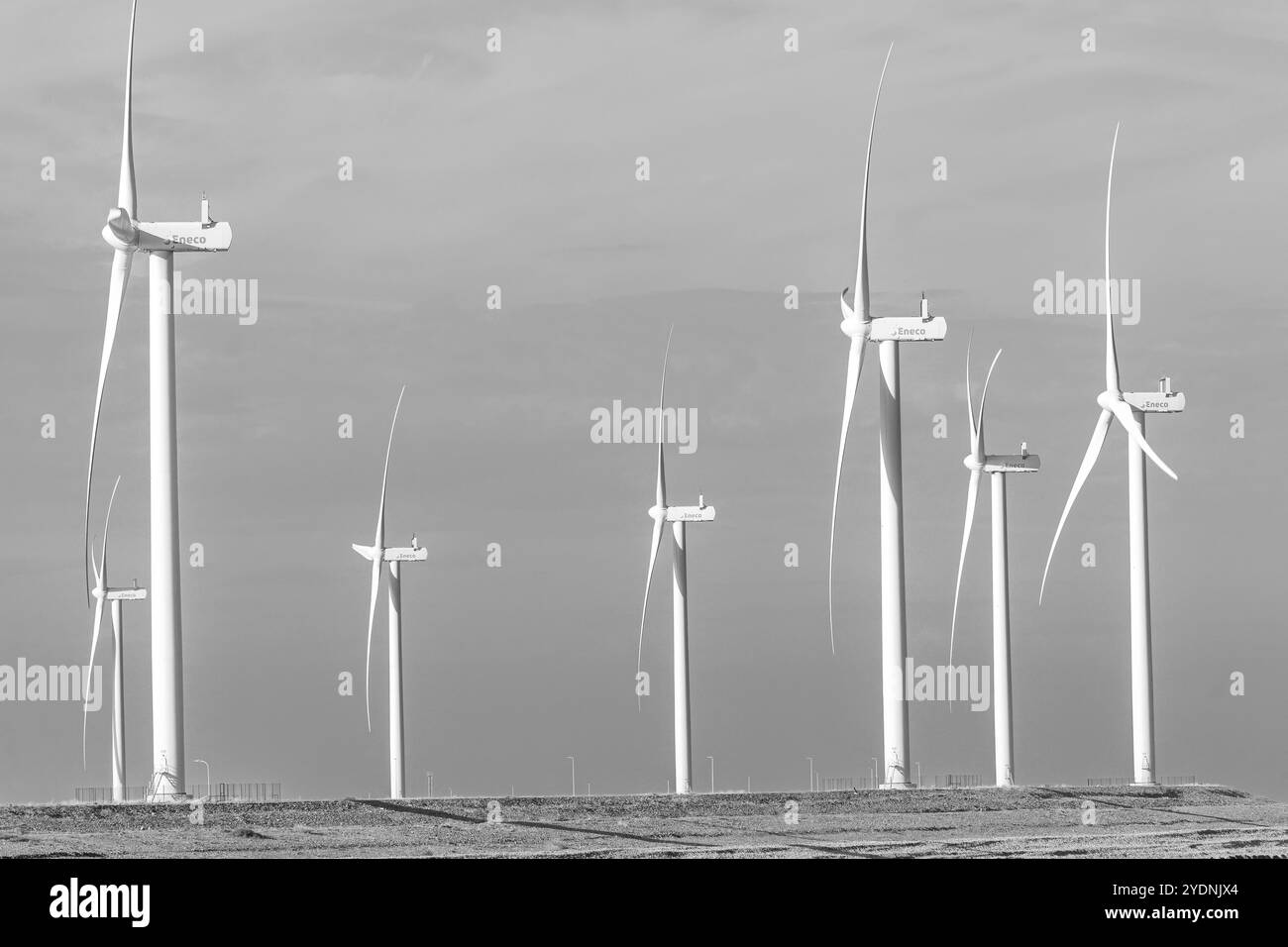 25 octobre 2024. Maasvlakte Rotterdam, pays-Bas. Un groupe de moulins à vent au Maasvlakte, Rotterdam. Banque D'Images