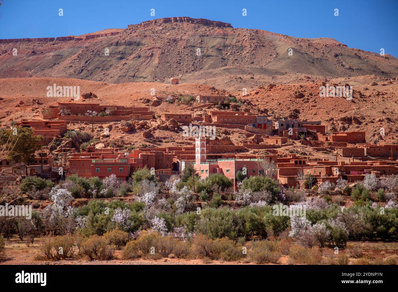 Kasbahs dans les montagnes de l'Atlas, Maroc Banque D'Images