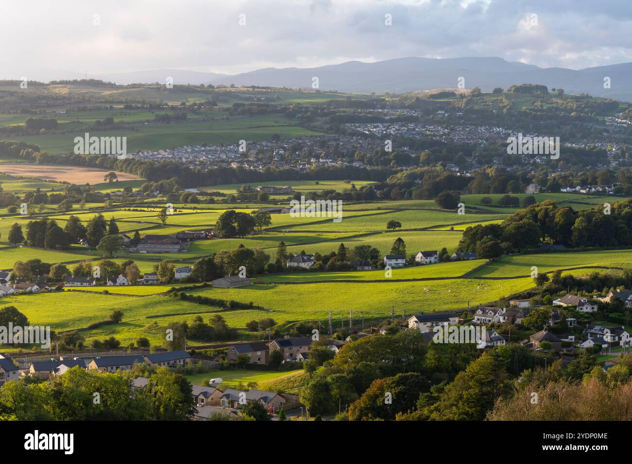 Campagne autour de la ville de Kendal en Cumbria, au nord-ouest de l'Angleterre. Banque D'Images