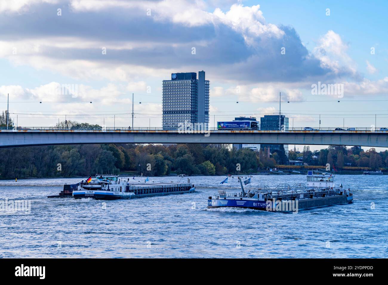 Die Konrad-Adenauer-Brücke, Südbrücke, Autobahnbrücke A562 und 2 Stadtbahnlinien, Straßenbahn,un-Campus Bonn, NRW, Deutschland Konrad-Adenauer-Brücke *** Pont Konrad Adenauer, Pont Sud, pont autoroutier A562 et 2 lignes de tramway, Campus un Bonn, NRW, Allemagne Pont Konrad Adenauer Banque D'Images