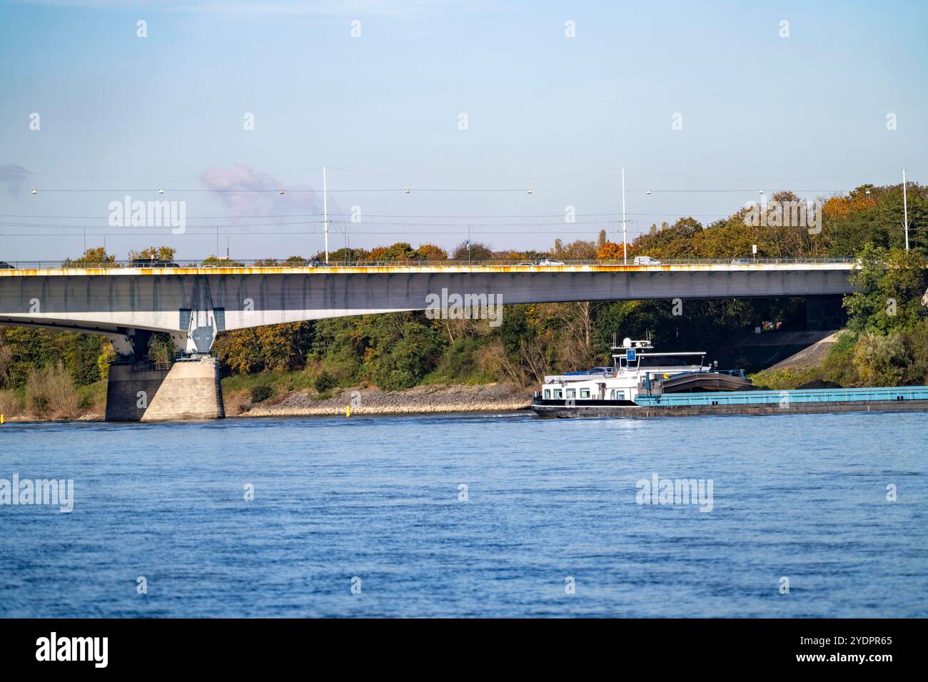 Die Konrad-Adenauer-Brücke, Südbrücke, Autobahnbrücke A562 und 2 Stadtbahnlinien, Straßenbahn, Bonn, NRW, Deutschland Konrad-Adenauer-Brücke *** Pont Konrad Adenauer, Pont Sud, pont autoroutier A562 et 2 lignes de tramway, Bonn, NRW, Allemagne Pont Konrad Adenauer Banque D'Images