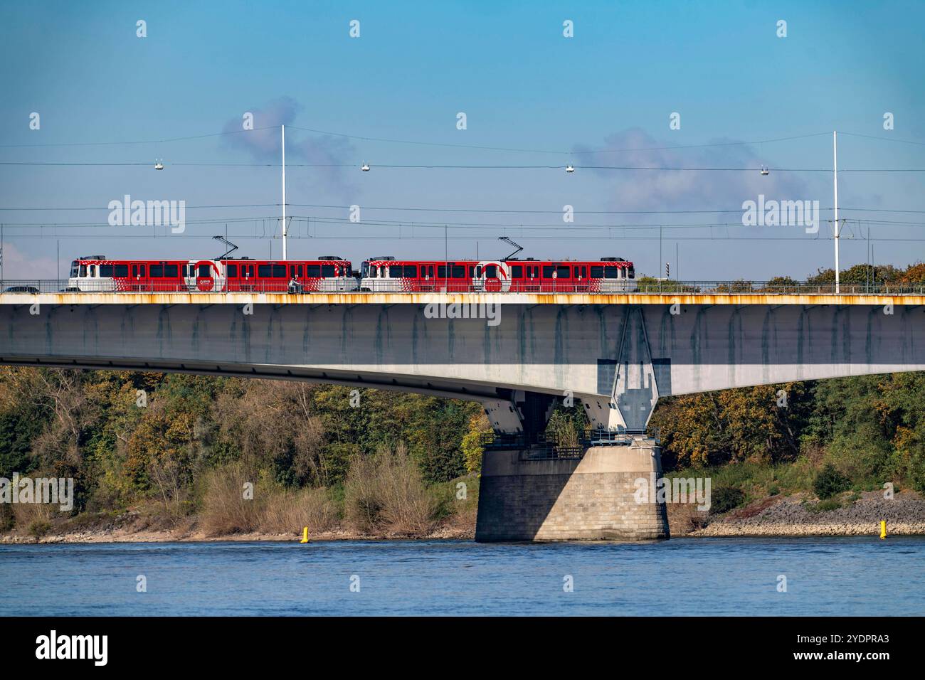 Die Konrad-Adenauer-Brücke, Südbrücke, Autobahnbrücke A562 und 2 Stadtbahnlinien, Straßenbahn, Bonn, NRW, Deutschland Konrad-Adenauer-Brücke *** Pont Konrad Adenauer, Pont Sud, pont autoroutier A562 et 2 lignes de tramway, Bonn, NRW, Allemagne Pont Konrad Adenauer Banque D'Images