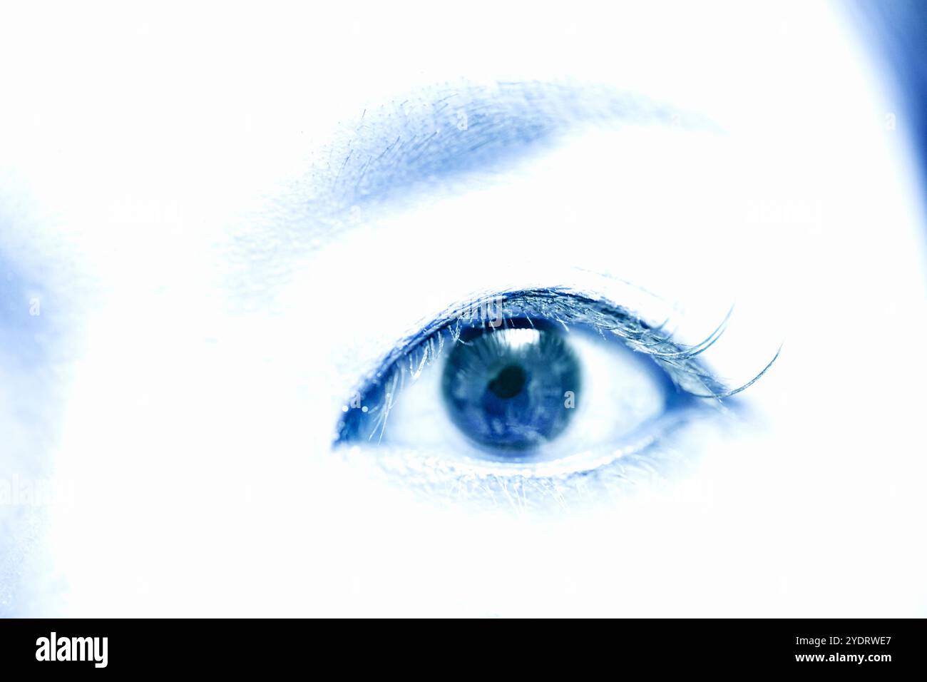 Yeux femme Banque D'Images