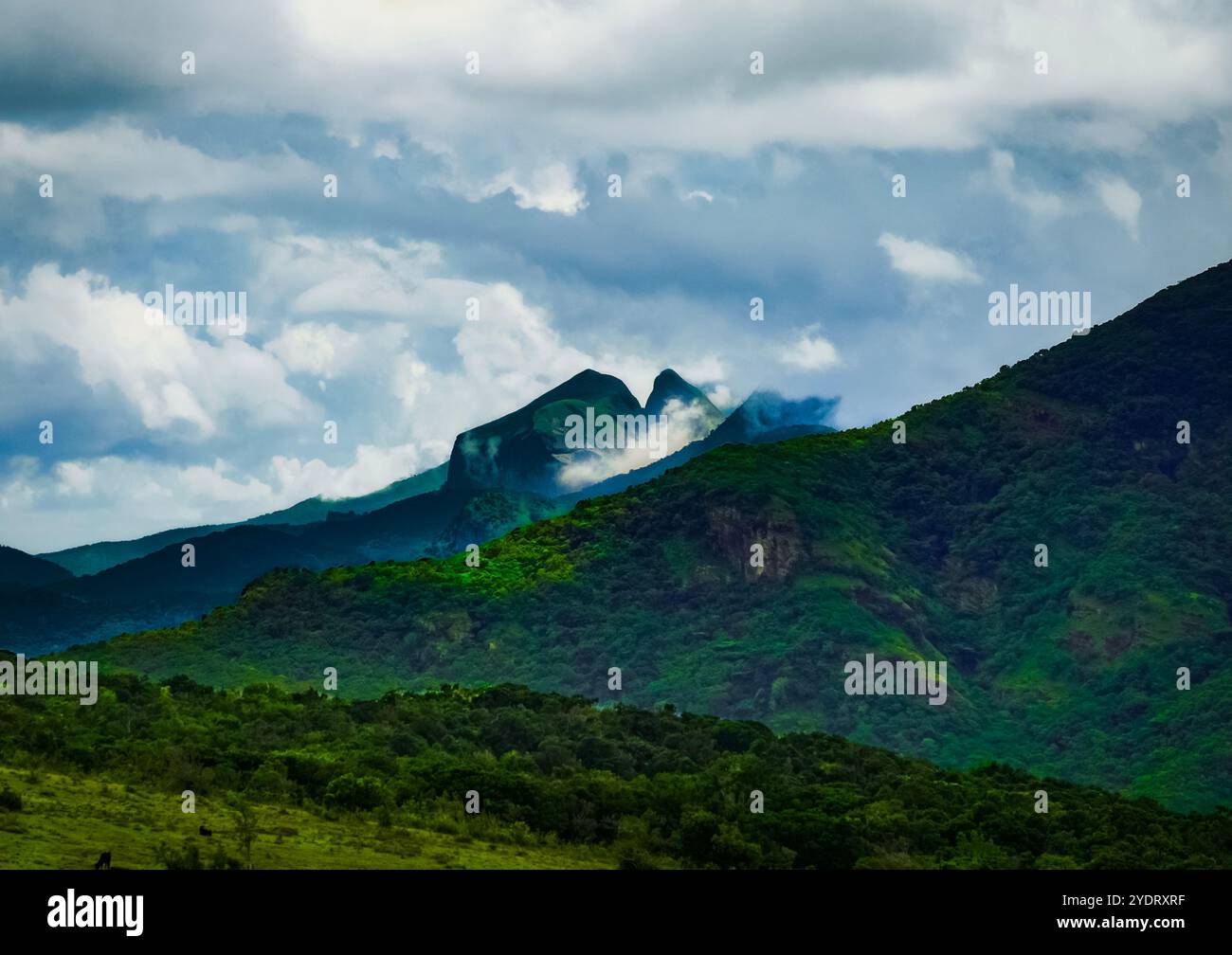 Paysages avec vue sur la montagne. Banque D'Images