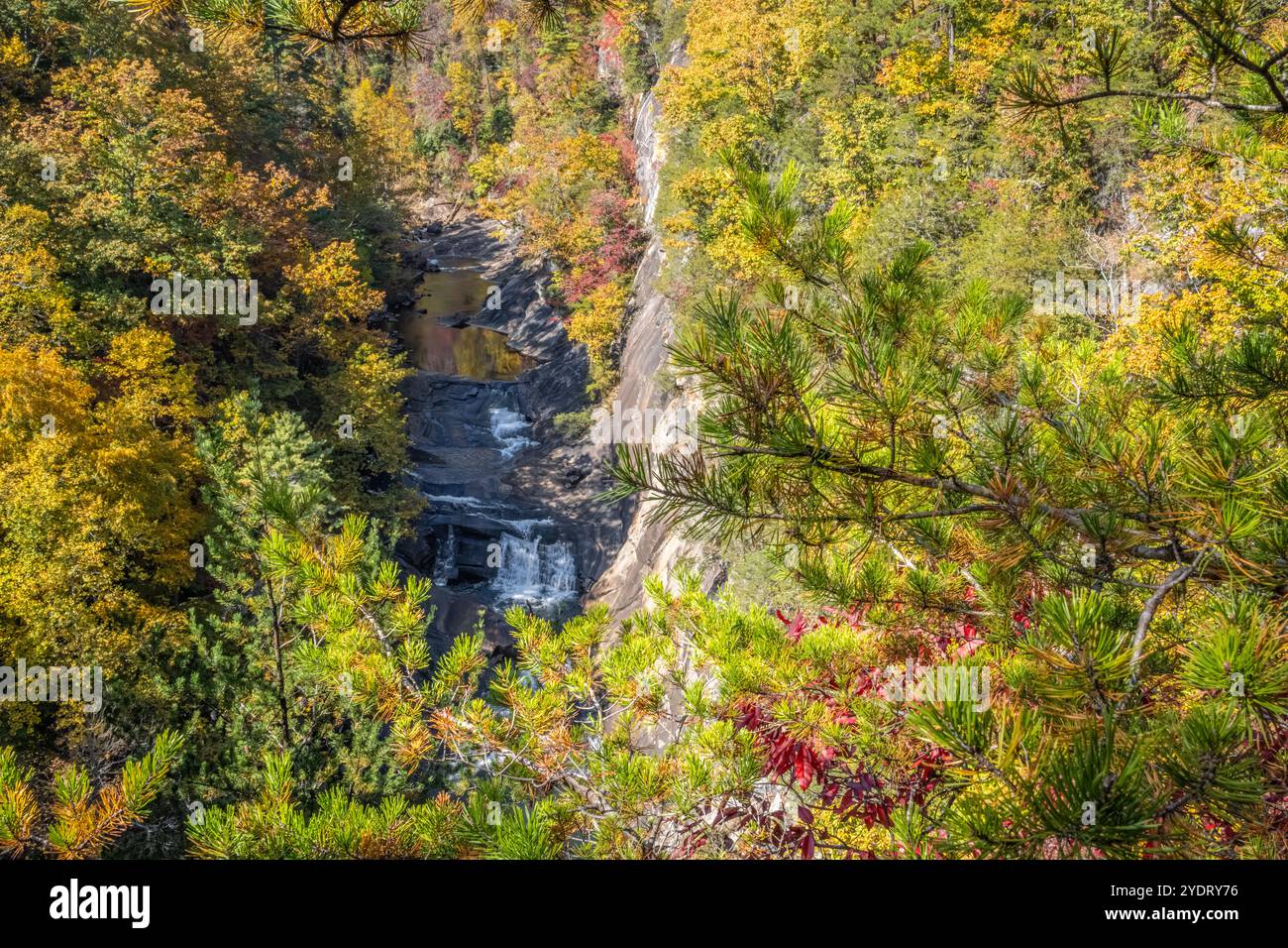 Tallulah gorge State Park vue panoramique sur les chutes de L'eau d'Or à Tallulah Falls, Géorgie. (ÉTATS-UNIS) Banque D'Images