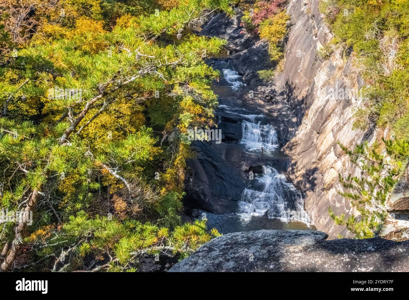 Tallulah gorge State Park vue panoramique sur les chutes de L'eau d'Or à Tallulah Falls, Géorgie. (ÉTATS-UNIS) Banque D'Images