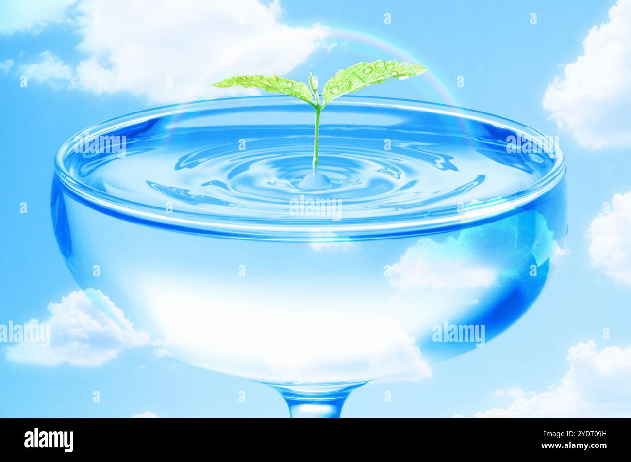 Verre et ciel bleu et terre Banque D'Images