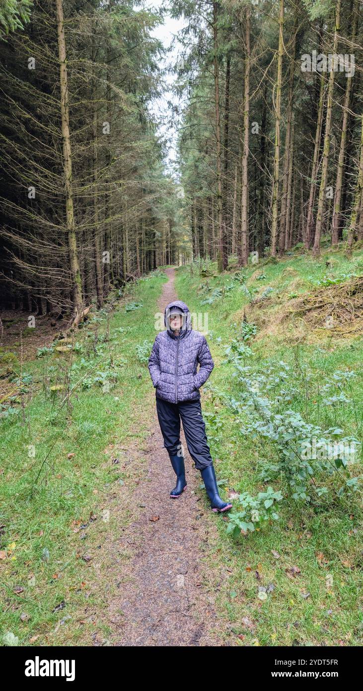 Femme randonnée dans la forêt d'automne à Slieve Bloom Mountains, Forelacka, Kinnitty, Co. Offaly, aventure et style de vie Banque D'Images