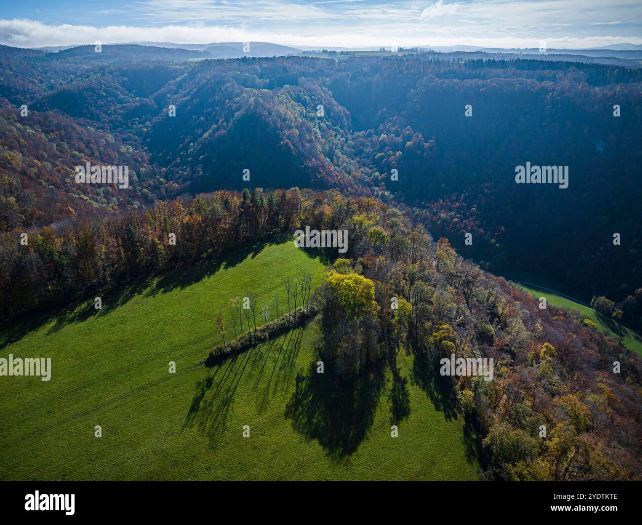 Herbst auf der Schwäbischen Alb. Bäume werfen lange Schatten. // 26.10.2024 : Lenningen, Bade-Württemberg, Deutschland *** L'automne dans la Souabe alb jette de longues ombres 26 10 2024 Lenningen, Bade-Württemberg, Allemagne Banque D'Images