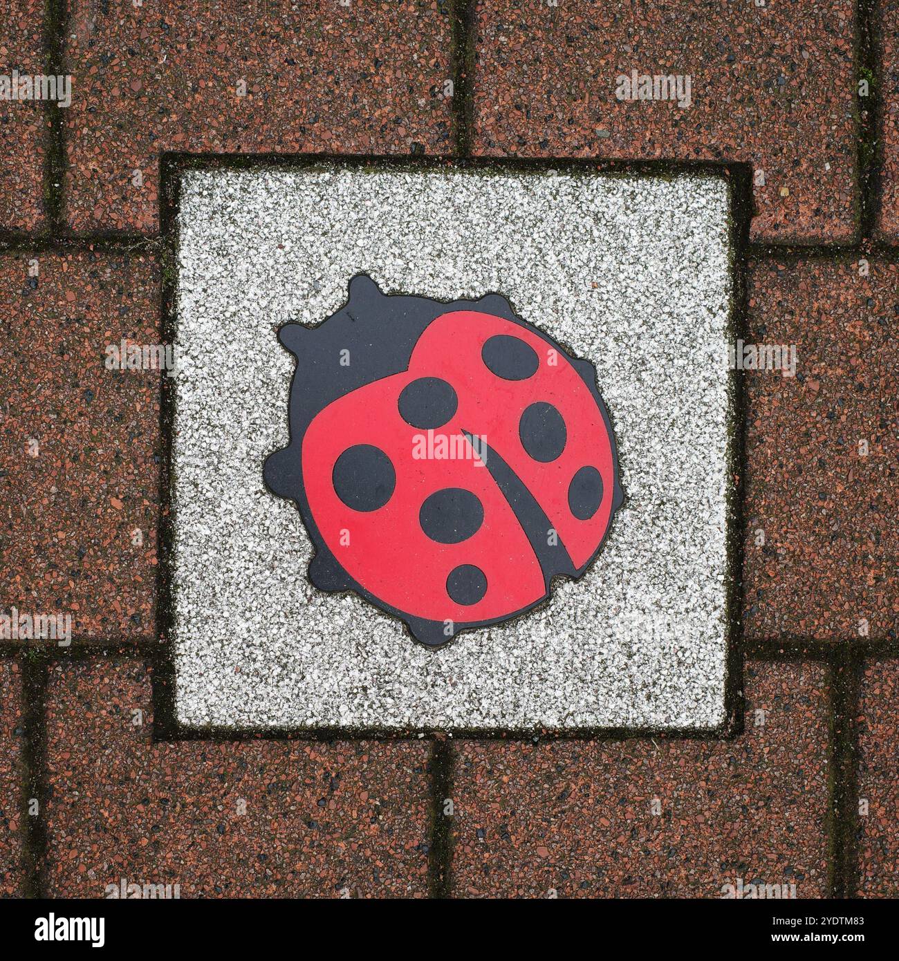 Une tuile avec coccinelle entre les pierres du trottoir est un signe contre la violence insensée aux pays-Bas Banque D'Images