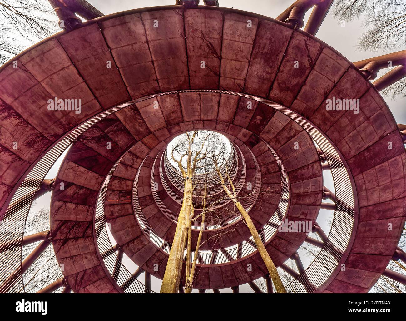 Une tour d'observation en bois en forme de spirale frappante posée contre un ciel bleu clair, entourée d'arbres sans feuilles. Capture l'innovation architecturale et na Banque D'Images