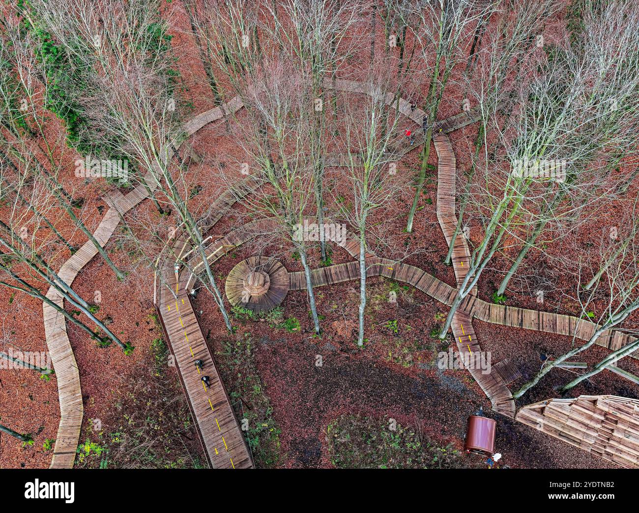 Une tour d'observation en bois en forme de spirale frappante posée contre un ciel bleu clair, entourée d'arbres sans feuilles. Capture l'innovation architecturale et na Banque D'Images