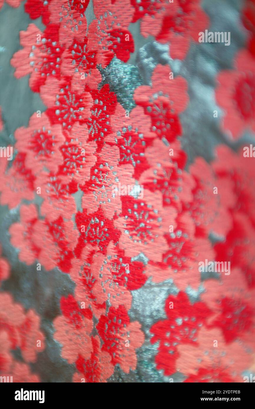 Kimono Banque D'Images