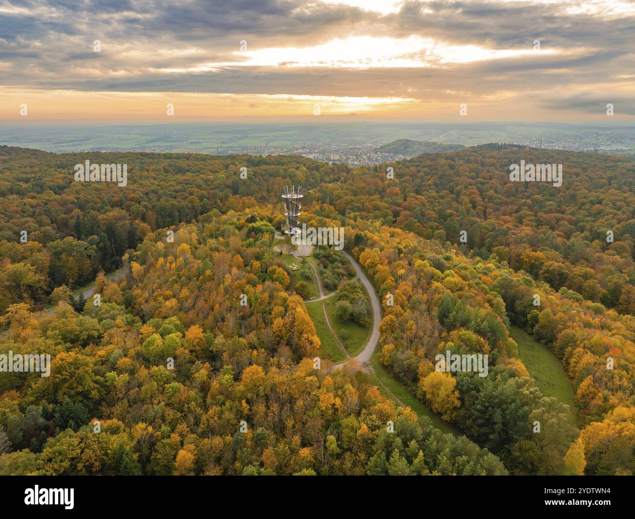 Tour d'observation au milieu d'une forêt d'automne colorée avec une route praticable et un large horizon, Schoenbuchturm, Herrenberg, Allemagne, Europe Banque D'Images