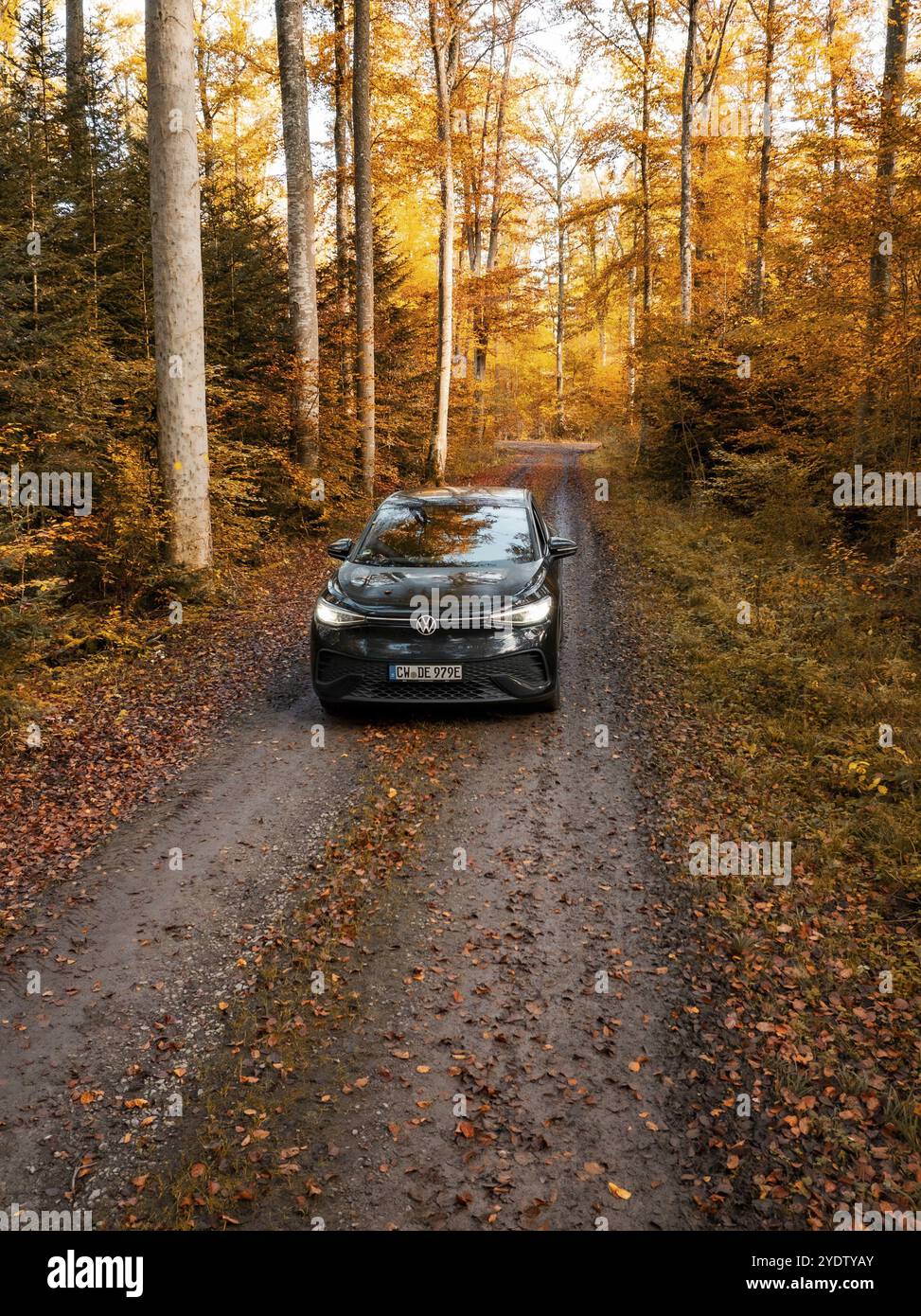 Véhicule sur un chemin forestier dans un environnement automnal animé, voiture électrique, VW ID5, Gechingen, Forêt Noire, Allemagne, Europe Banque D'Images