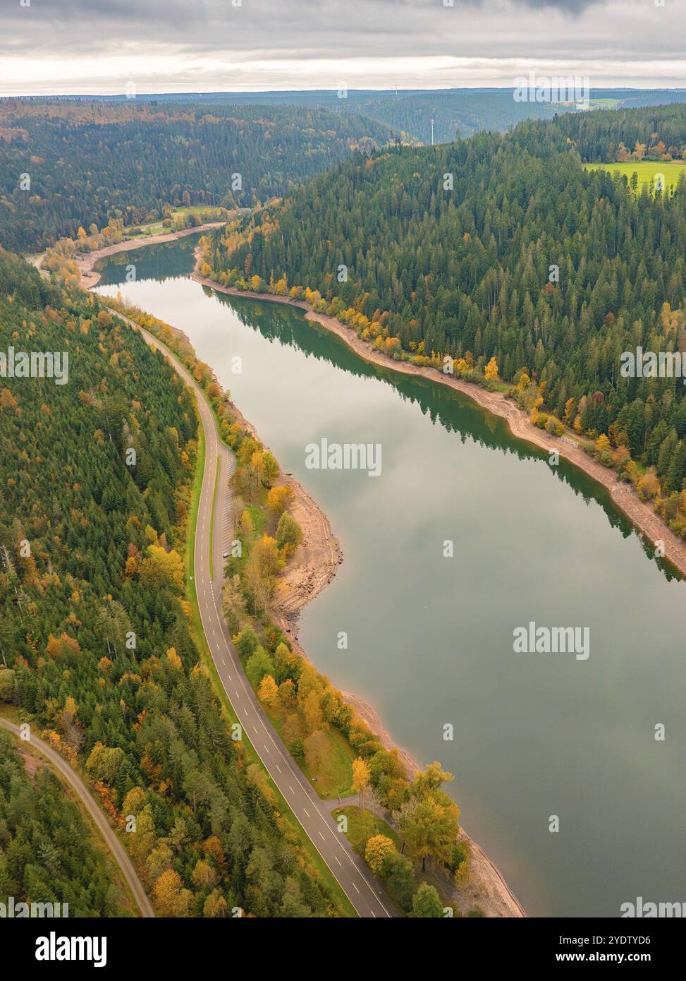 Vue aérienne d'une rivière serpentant à travers une forêt avec une route adjacente en automne, barrage de Nagold, Forêt Noire, Allemagne, Europe Banque D'Images