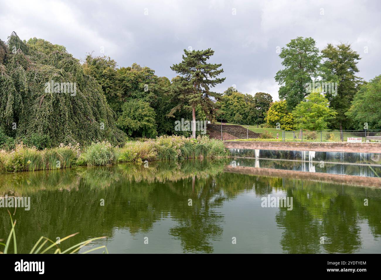 Stuttgart Baden Württemberg Allemagne 13 septembre 2024 Höhenpark Killesberg, Killesbergpark Die GruÌˆne Fuge / The Green Fugue. Caractéristique de l'eau avec des arbres reflétés dans l'eau sof l'étang. jardins, garten, ville, hohenpark, hoehenpark, stationnement, Banque D'Images