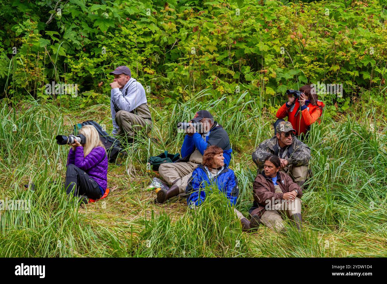 Les invités des expéditions Lindblad expéditions expédient National Geographic Sea Bird dans le sud-est de l'Alaska, aux États-Unis d'Amérique, en Amérique du Nord Banque D'Images