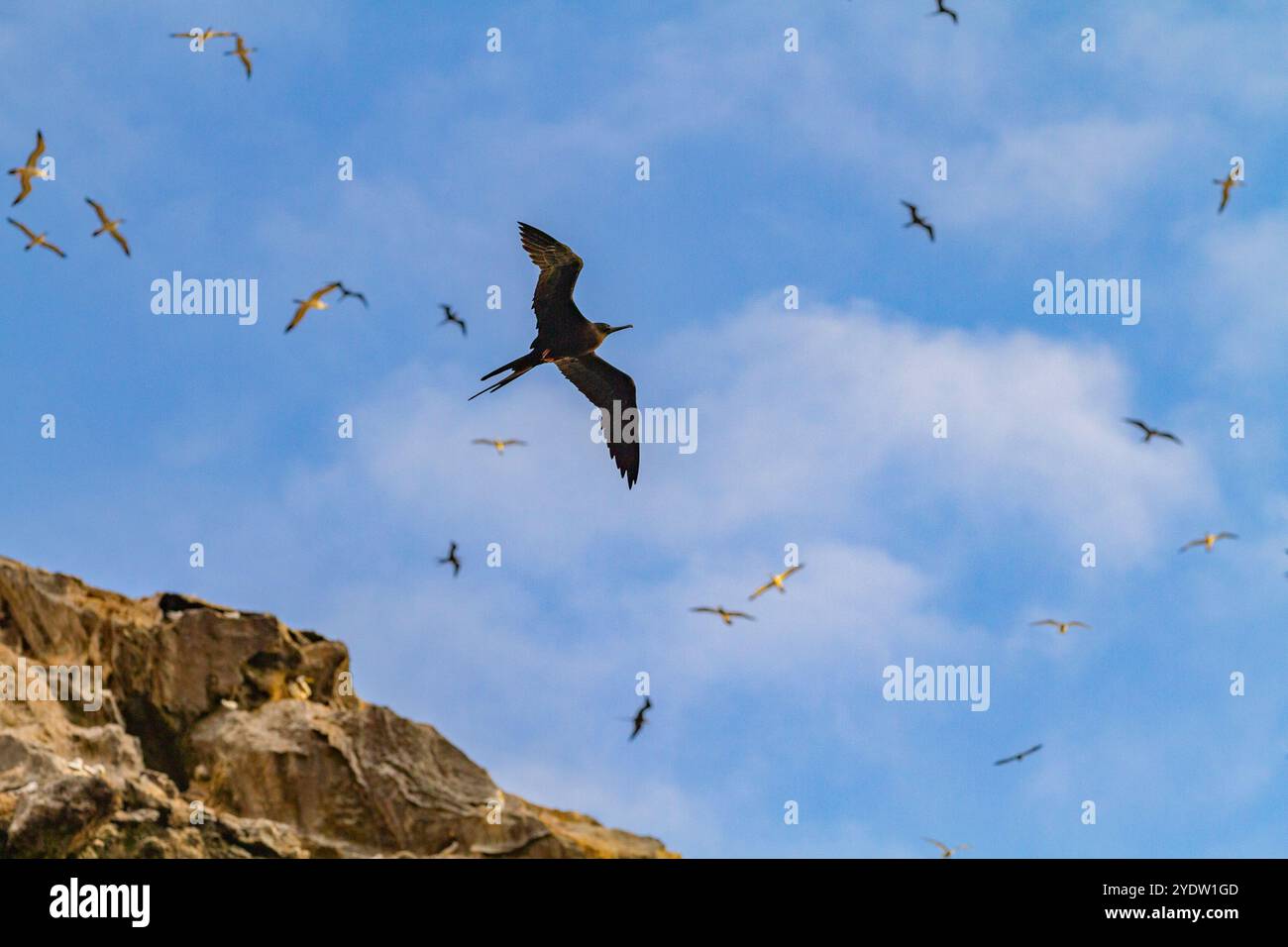Une vue à l'aube de Boatswain Bird Island juste à côté de l'île de l'Ascension dans le sud tropical de l'océan Atlantique, l'océan Atlantique Sud Banque D'Images