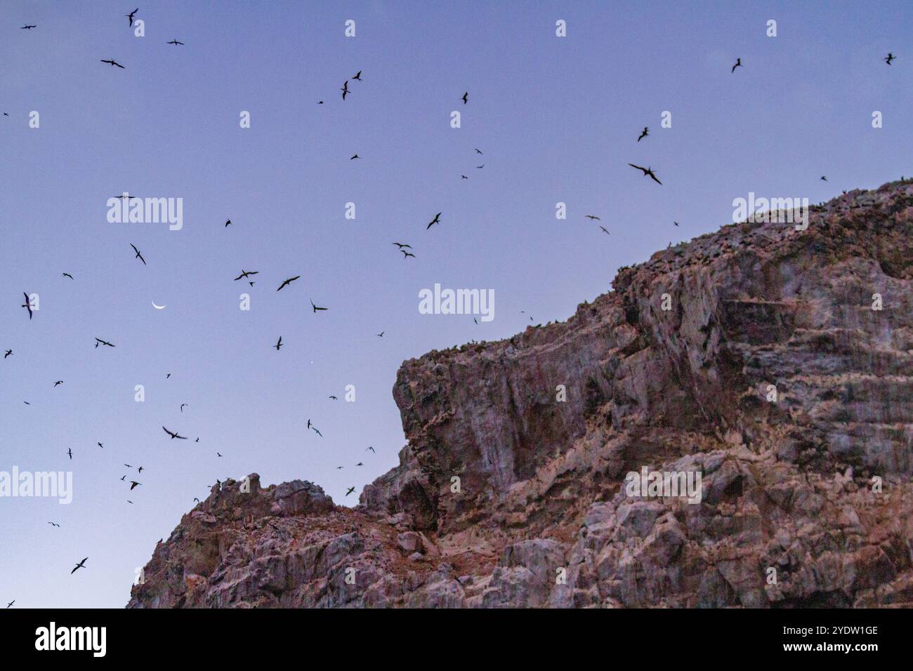 Une vue à l'aube de Boatswain Bird Island juste à côté de l'île de l'Ascension dans le sud tropical de l'océan Atlantique, l'océan Atlantique Sud Banque D'Images