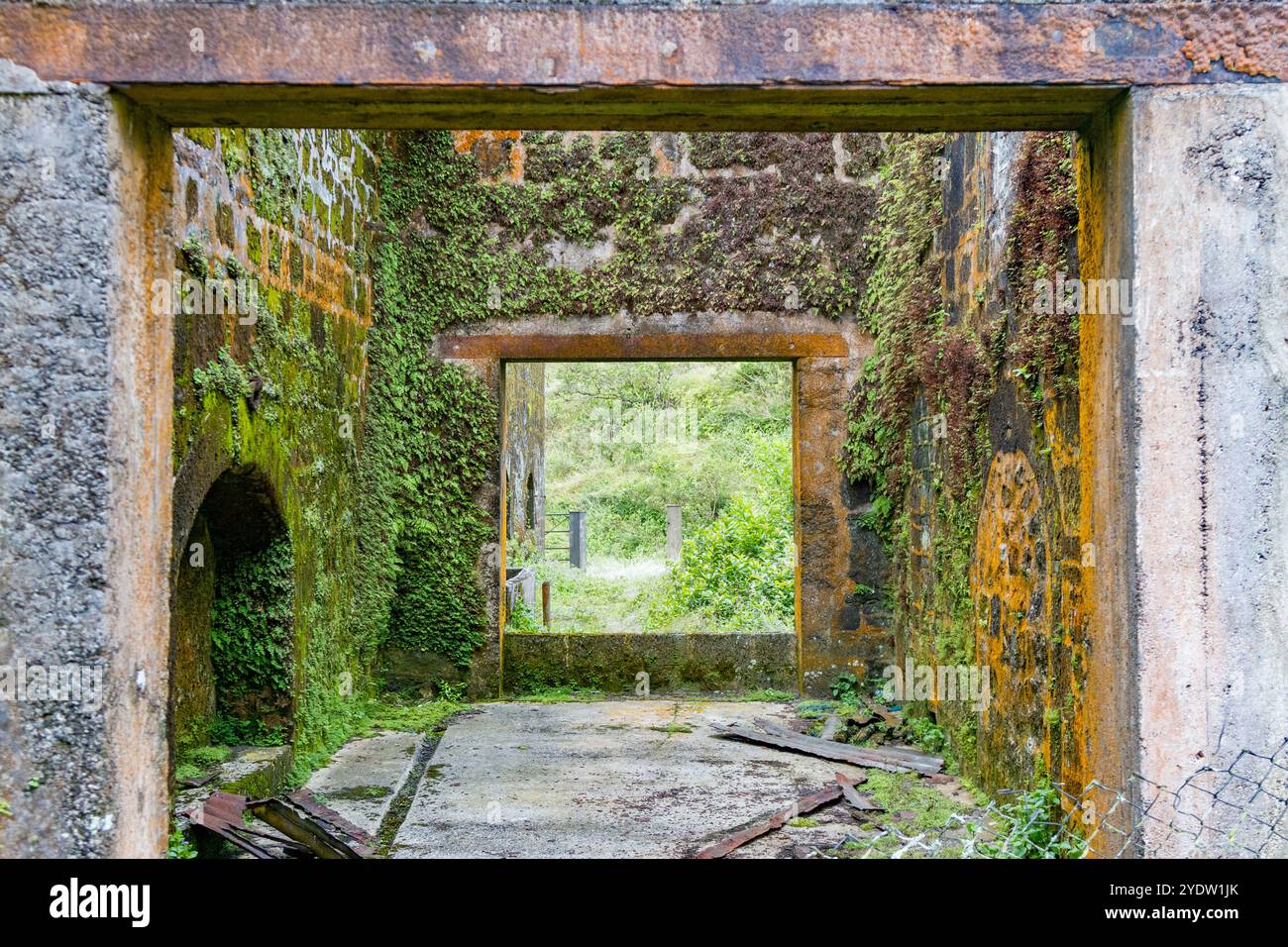Vue sur les anciennes casernes au sommet de Green Mountain sur l'île de l'Ascension dans le sud tropical de l'océan Atlantique, l'océan Atlantique Sud Banque D'Images