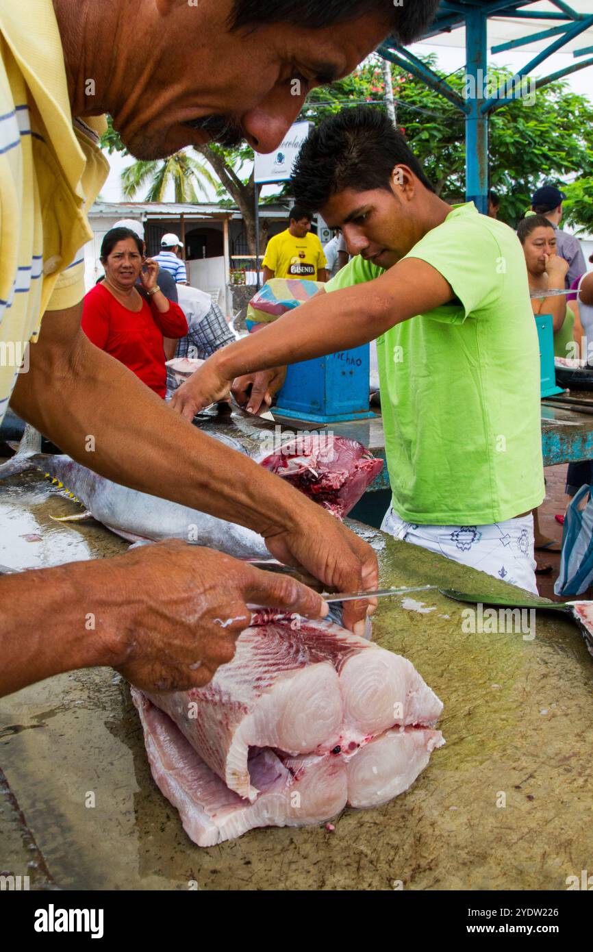 Scène du marché aux poissons dans la ville portuaire de Puerto Ayora, île de Santa Cruz, îles Galapagos, site du patrimoine mondial de l'UNESCO, Équateur, Amérique du Sud Banque D'Images